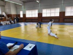 Школьная спортивная лига по дзюдо среди обучающихся общеобразовательных учреждений Самарской области