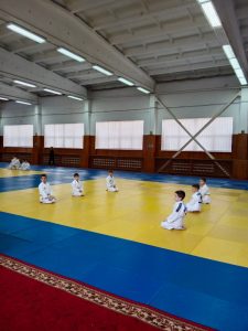Школьная спортивная лига по дзюдо среди обучающихся общеобразовательных учреждений Самарской области