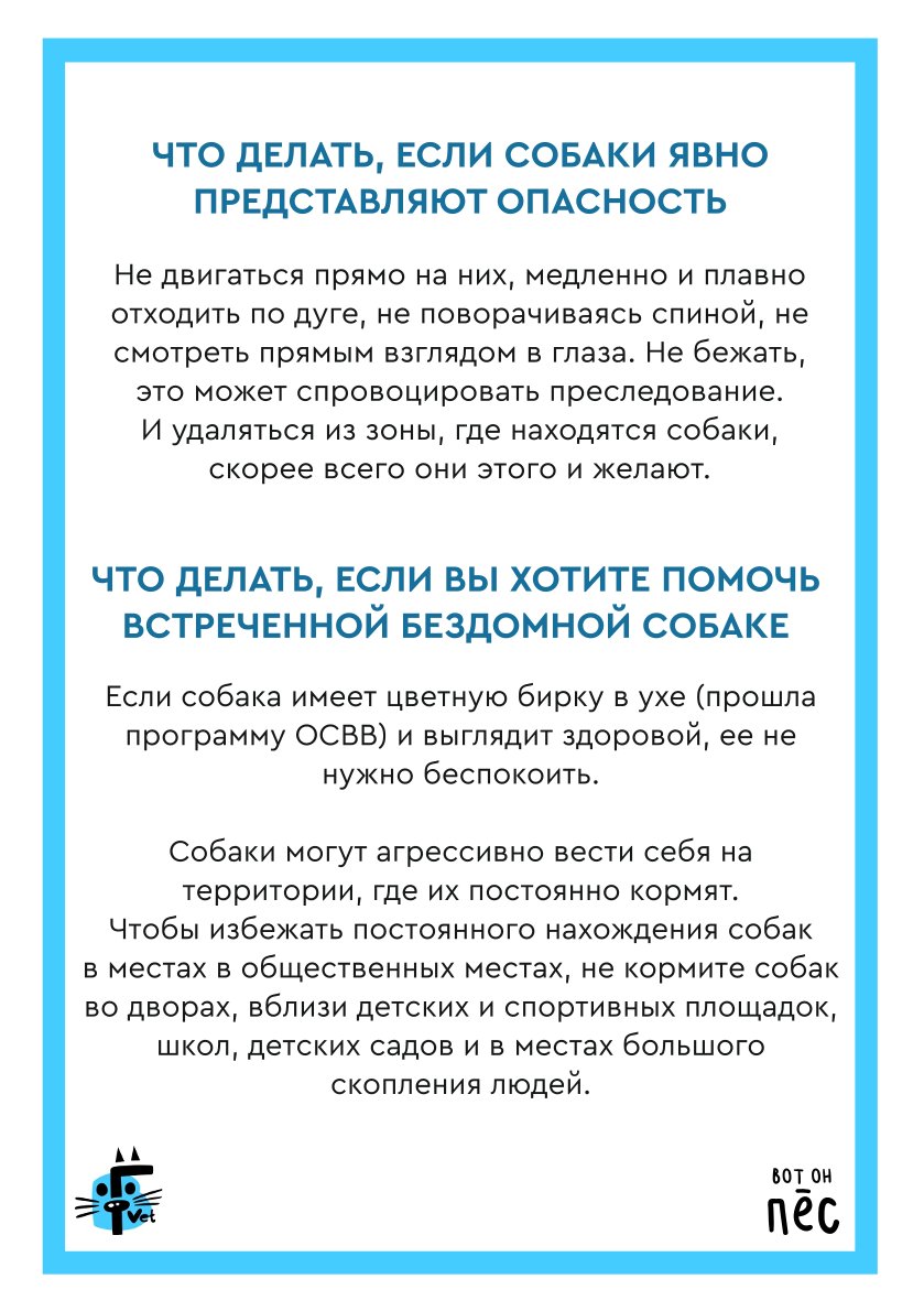 Что делать при встрече с бродячей собакой: правила безопасности и защита
