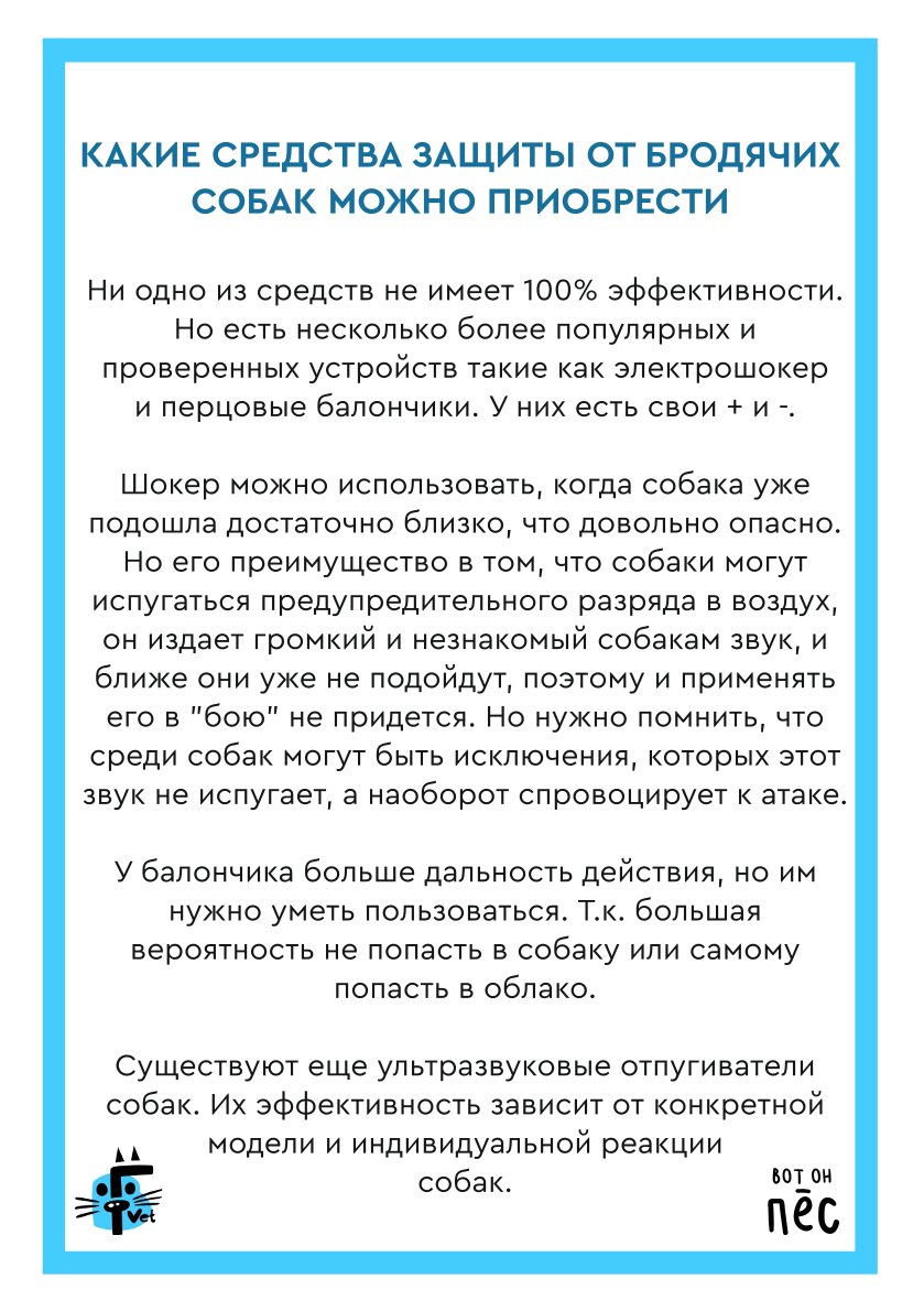 Что делать при встрече с бродячей собакой: правила безопасности и защита