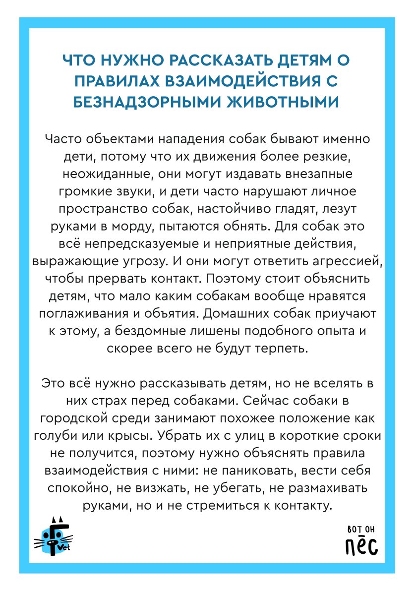 Что делать при встрече с бродячей собакой: правила безопасности и защита