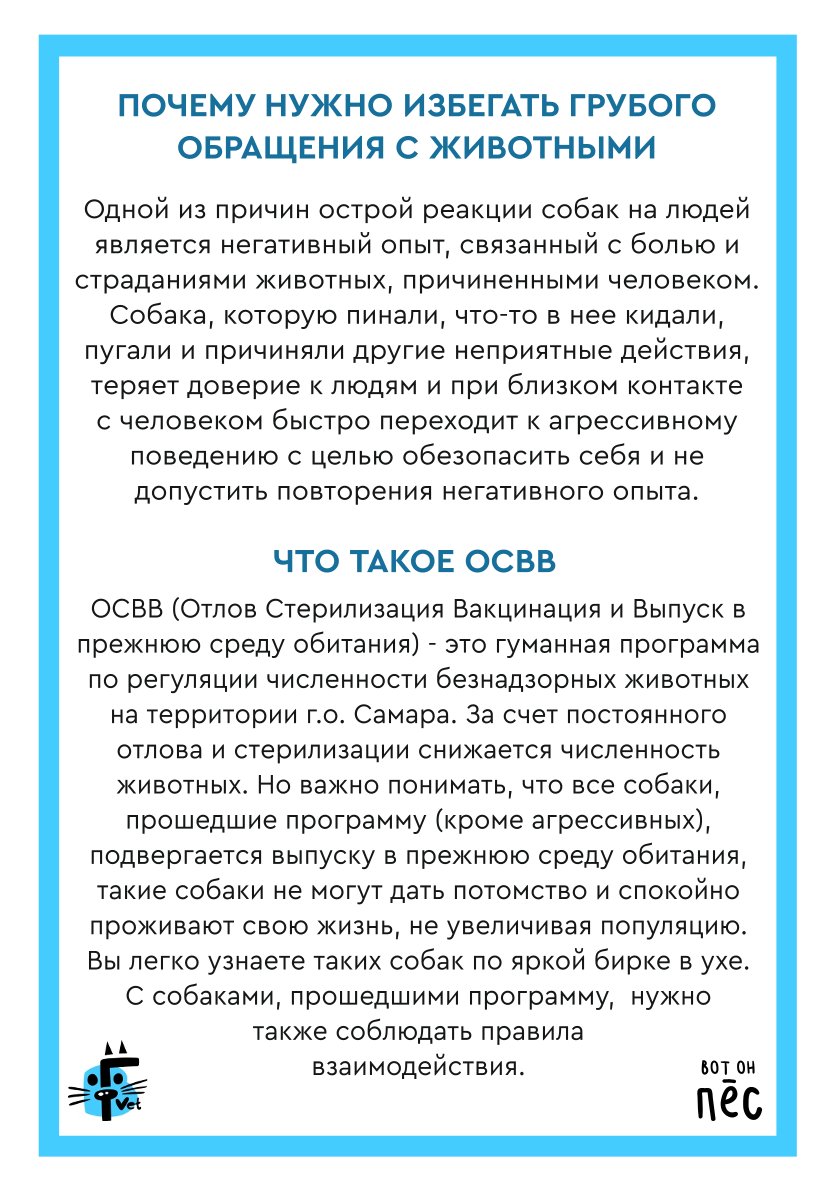 Что делать при встрече с бродячей собакой: правила безопасности и защита